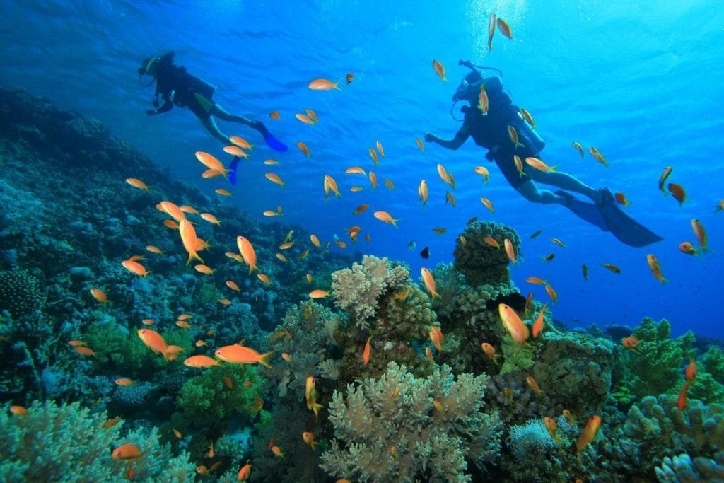 الغوص في دهب