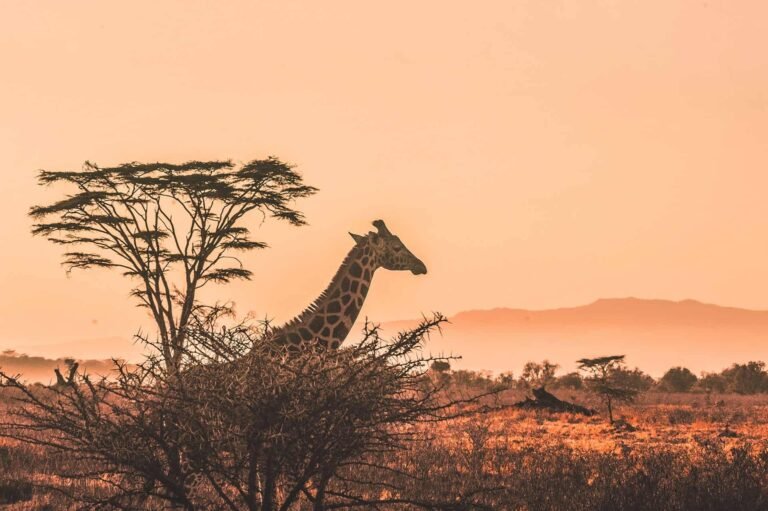 15 من أجمل المدن وأكثرها روعةً من جميع أنحاء العالم 10 15 مدينة من أجمل وأروع المدن حول العالم